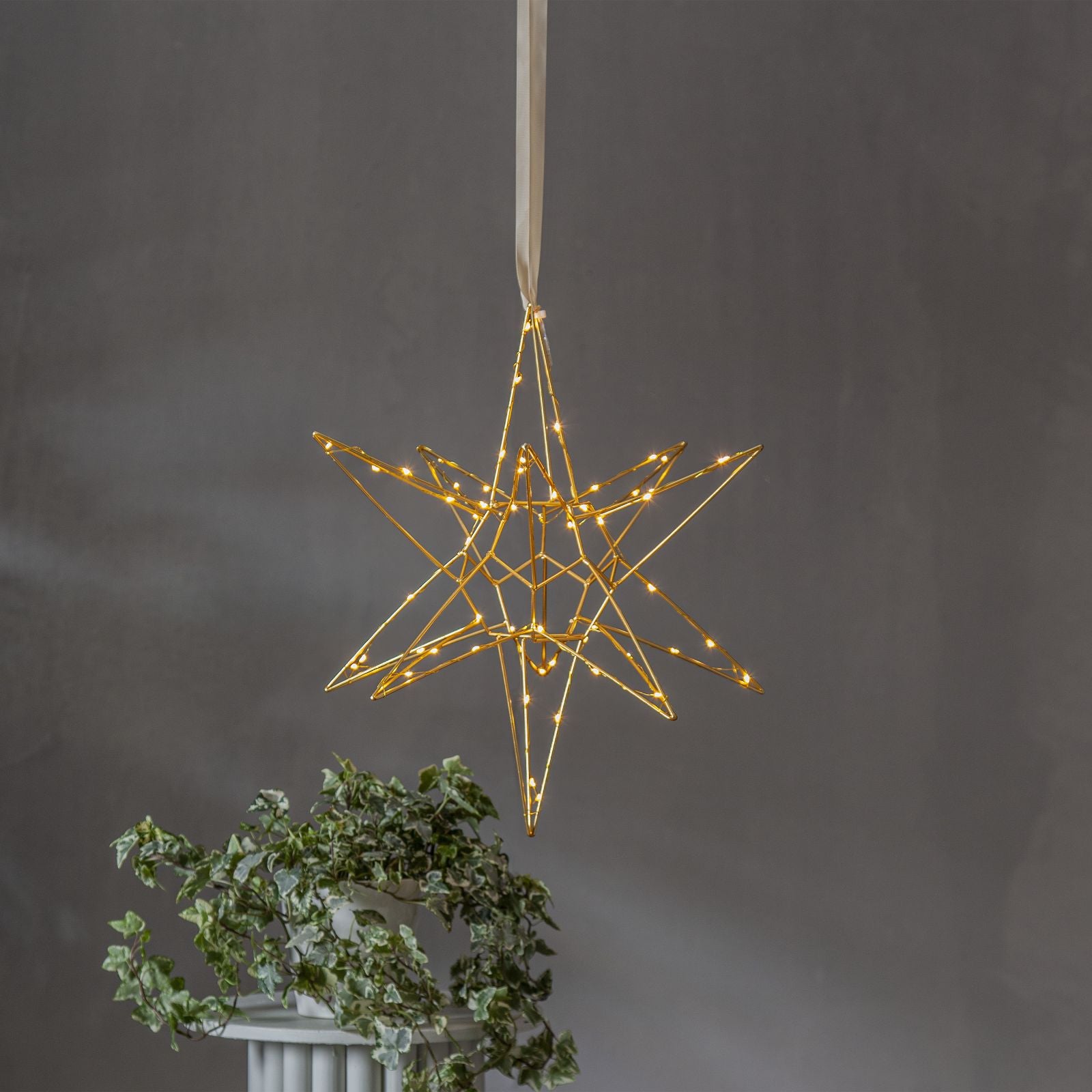 stjarna-lizzy-690-79